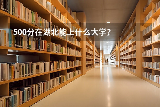 500分在湖北能上什么大学？