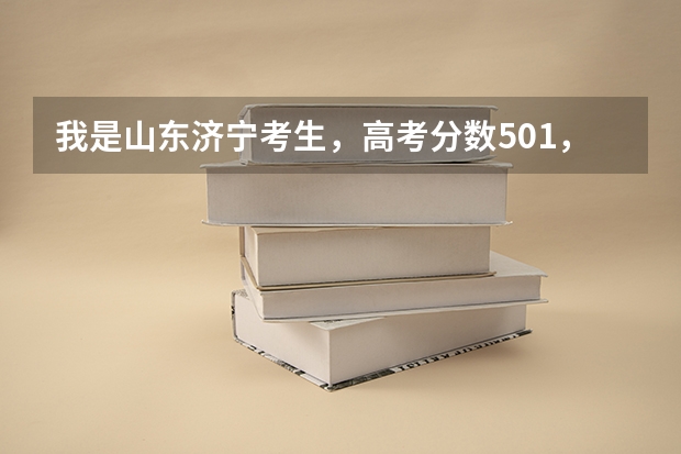 我是山东济宁考生,高考分数501,请问能上山东科技大专科吗,最好是能够专升本的专业