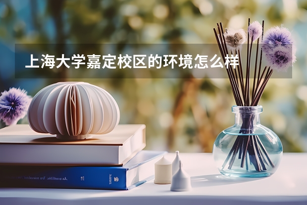 上海大学嘉定校区的环境怎么样