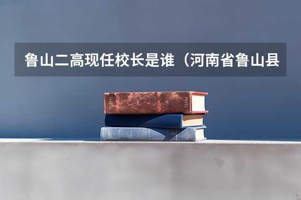 鲁山二高现任校长是谁（河南省鲁山县二高怎样）