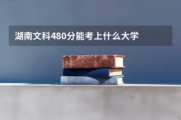 湖南文科480分能考上什么大学