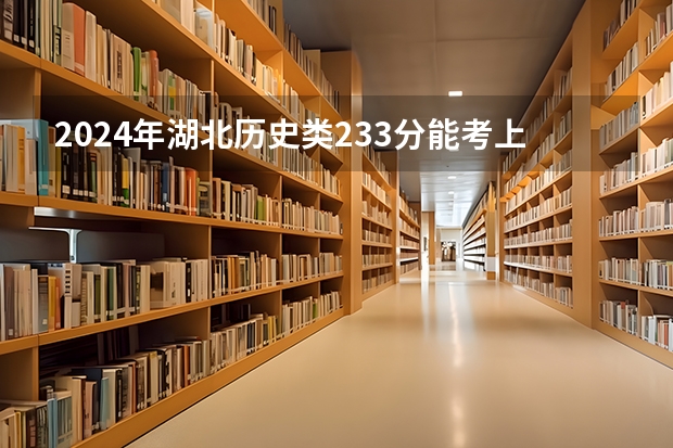 2024年湖北历史类233分能考上什么大学？