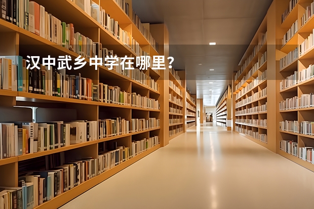 汉中武乡中学在哪里？