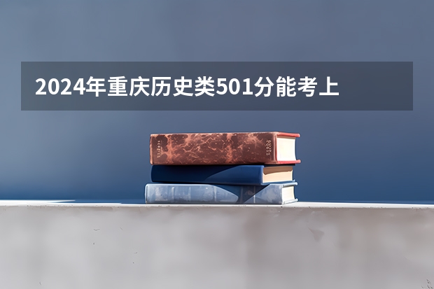 2024年重庆历史类501分能考上什么大学?