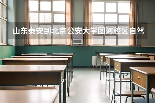 山东泰安到北京公安大学团河校区自驾多少公里