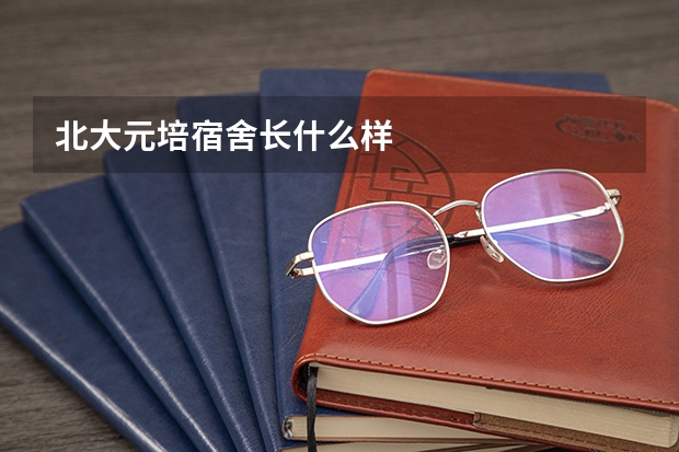 北大元培宿舍长什么样