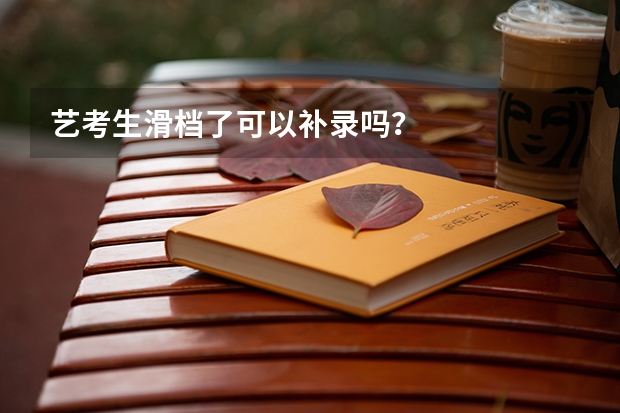艺考生滑档了可以补录吗？