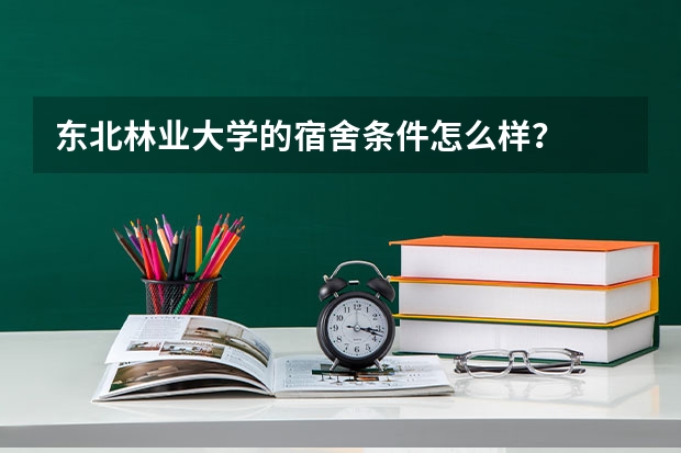 东北林业大学的宿舍条件怎么样？