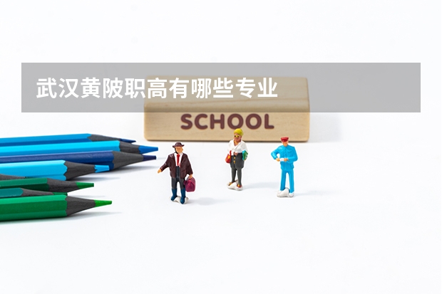 武汉黄陂职高有哪些专业