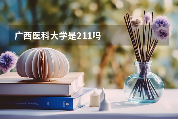 广西医科大学是211吗