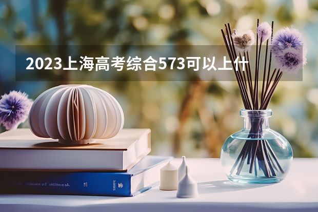 2023上海高考综合573可以上什么大学