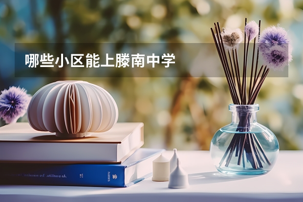 哪些小区能上滕南中学