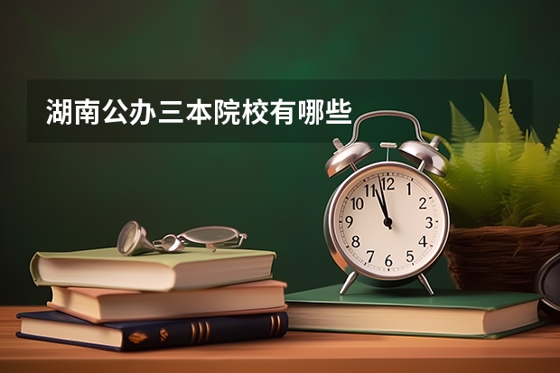 湖南公办三本院校有哪些