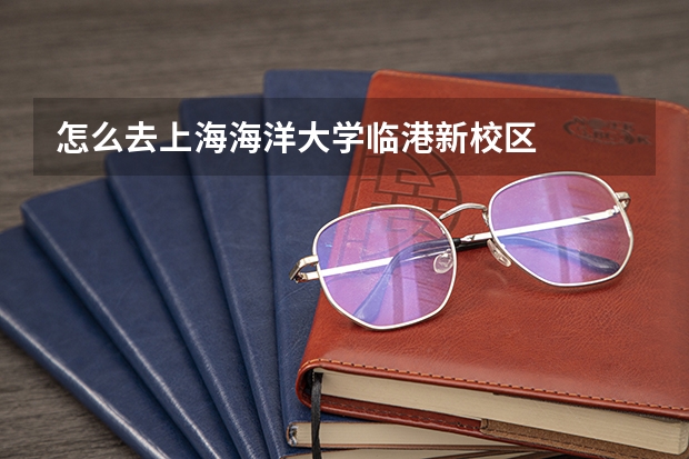 怎么去上海海洋大学临港新校区