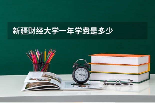 新疆财经大学一年学费是多少