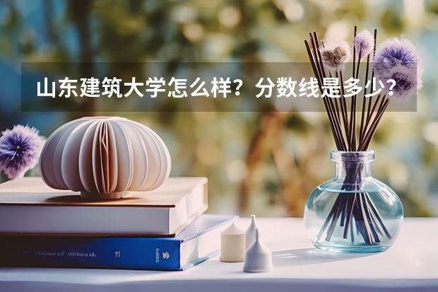 山东建筑大学怎么样？分数线是多少？哪个专业最吃香！