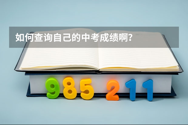 如何查询自己的中考成绩啊？