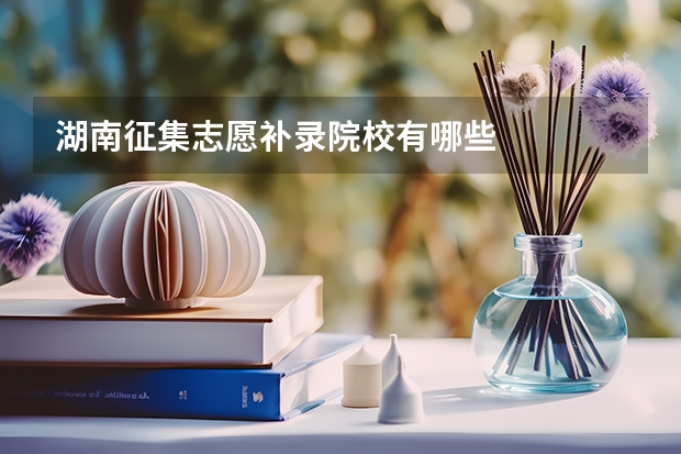 湖南征集志愿补录院校有哪些