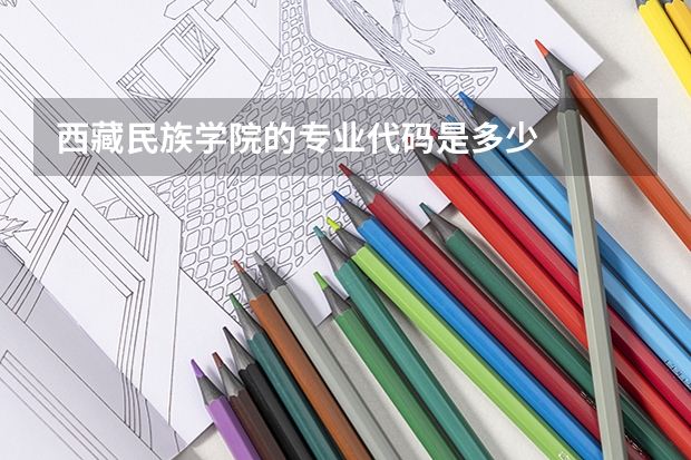 西藏民族学院的专业代码是多少