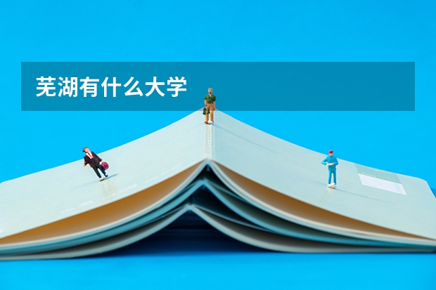 芜湖有什么大学