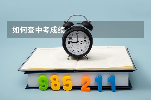 如何查中考成绩
