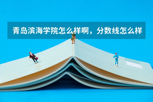 青岛滨海学院怎么样啊，分数线怎么样，就业率怎么样