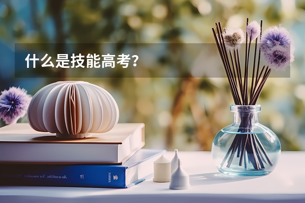 什么是技能高考?