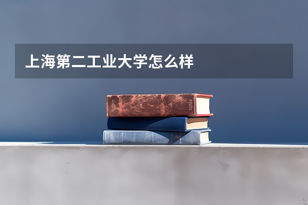 上海第二工业大学怎么样