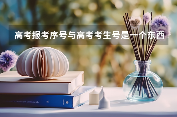 高考报考序号与高考考生号是一个东西吗