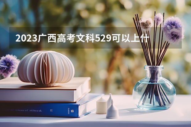 2023广西高考文科529可以上什么大学