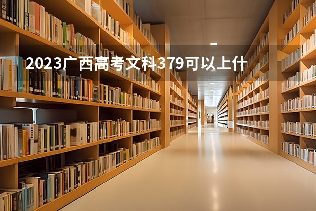 2023广西高考文科379可以上什么大学