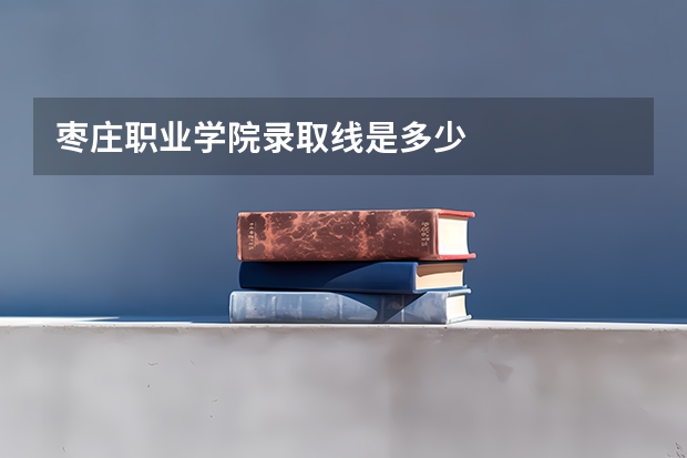 枣庄职业学院录取线是多少
