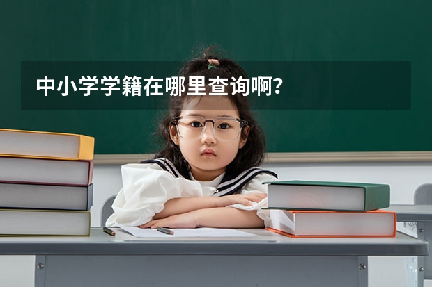 中小学学籍在哪里查询啊？
