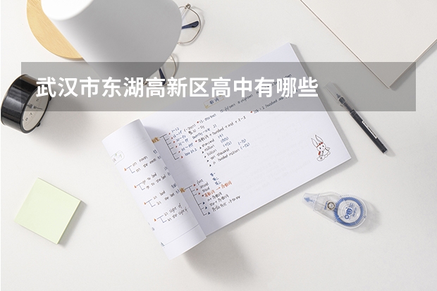 武汉市东湖高新区高中有哪些