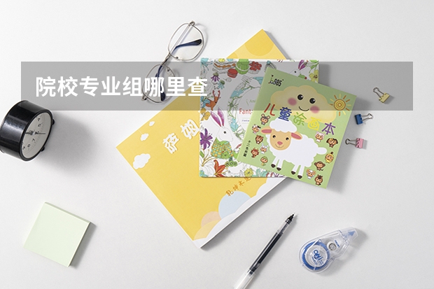 院校专业组哪里查