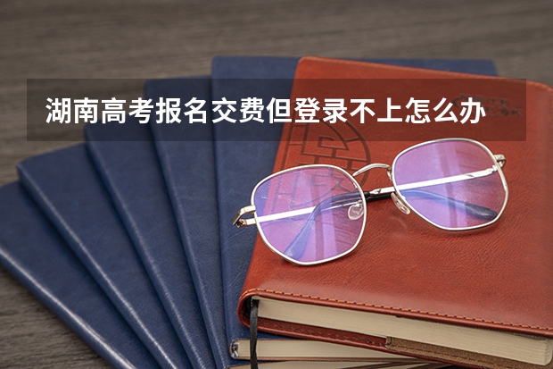 湖南高考报名交费但登录不上怎么办