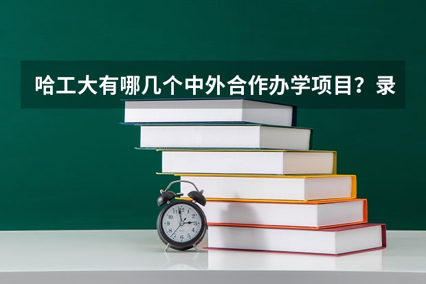 哈工大有哪几个中外合作办学项目?录取分数多少?颁发什么证书?