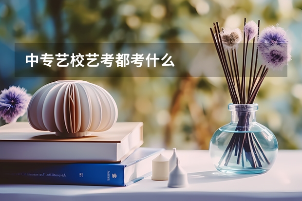 中专艺校艺考都考什么