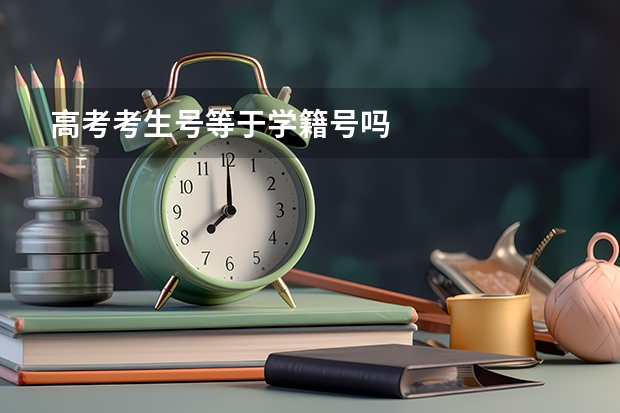 高考考生号等于学籍号吗