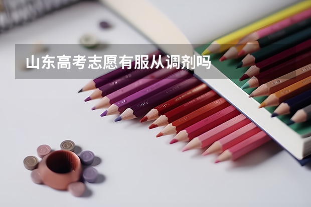山东高考志愿有服从调剂吗