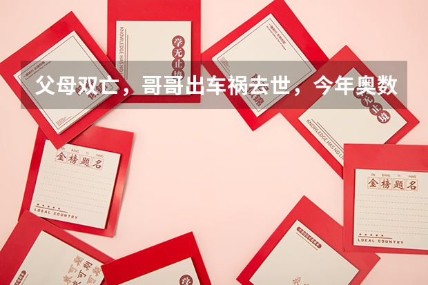 父母双亡,哥哥出车祸去世,今年奥数班高考的堂弟上大学能得到哪些资助?向谁申请,怎么办理