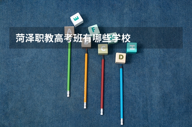 菏泽职教高考班有哪些学校