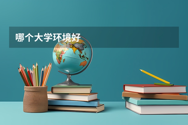 哪个大学环境好