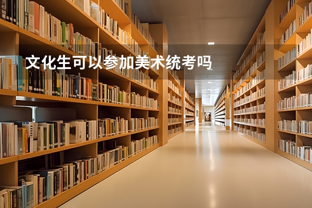 文化生可以参加美术统考吗
