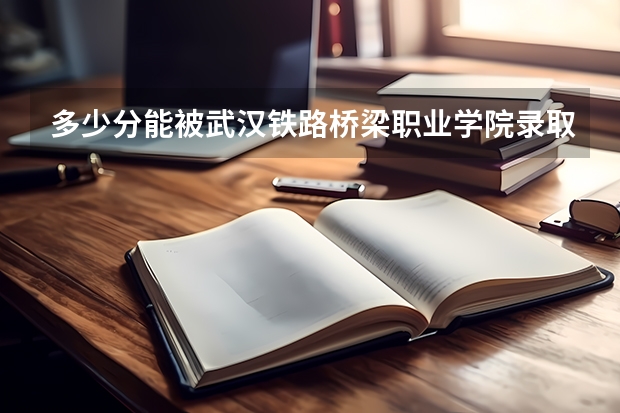 多少分能被武汉铁路桥梁职业学院录取