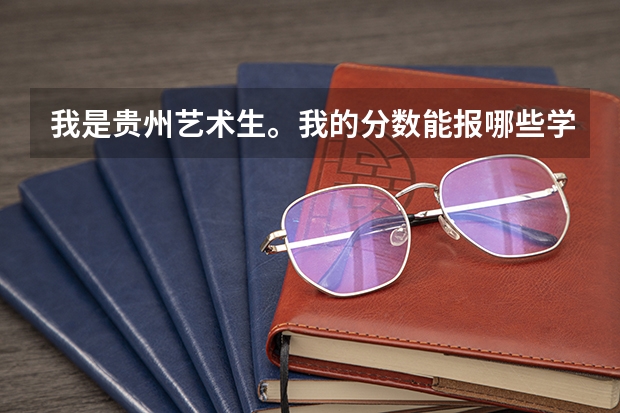 我是贵州艺术生。我的分数能报哪些学校啊?