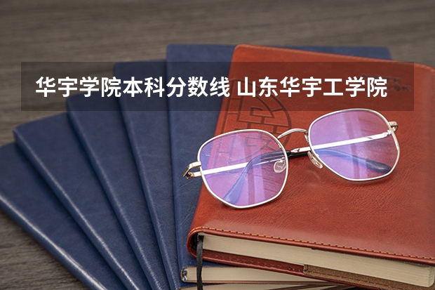 华宇学院本科分数线 山东华宇工学院是几本院校？