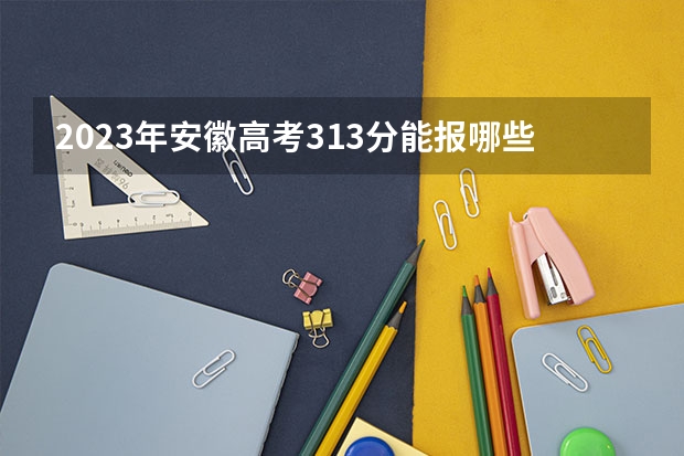 2023年安徽高考313分能报哪些公办大学