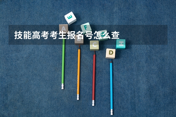 技能高考考生报名号怎么查