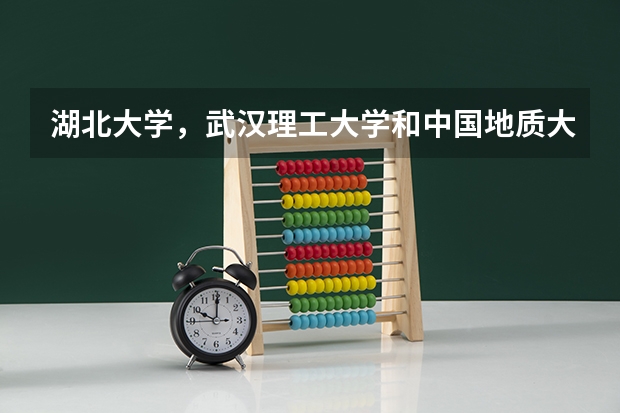 湖北大学，武汉理工大学和中国地质大学的环境工程专业哪个好一点，考研选学校问题（请说的详细一点）